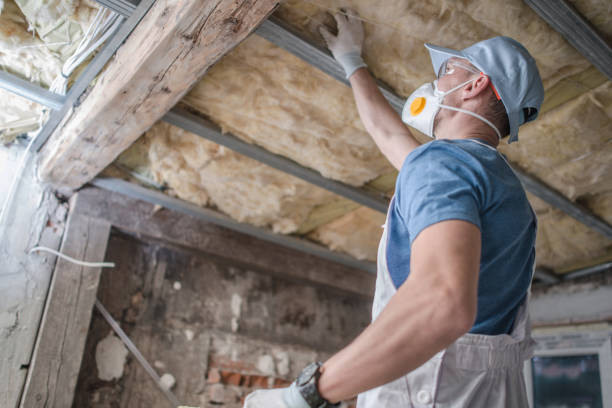Best Insulation Inspection Services  in Millers Creek, NC