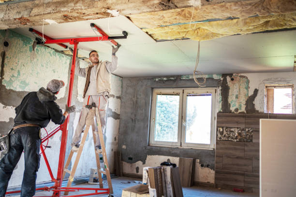 Best Insulation Replacement Services  in Millers Creek, NC