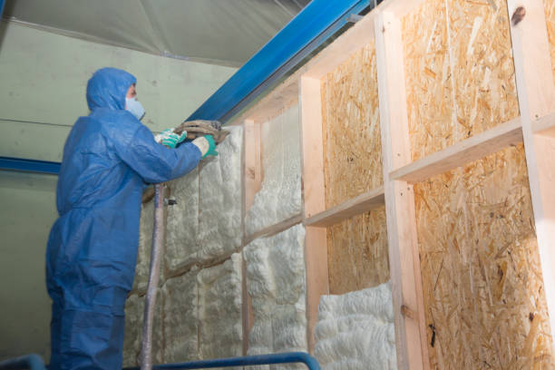 Best Blown-in Insulation  in Millers Creek, NC